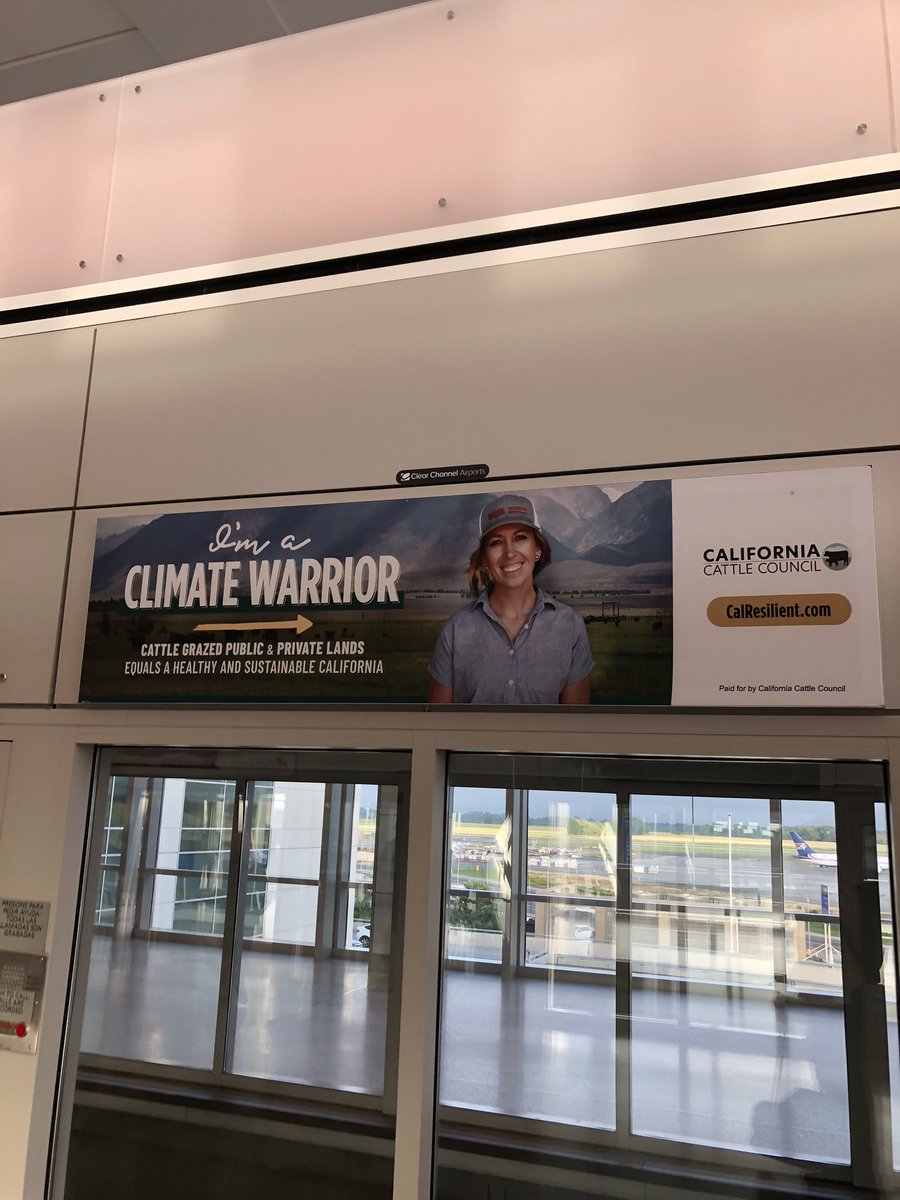 Angelo Genasci tweet media