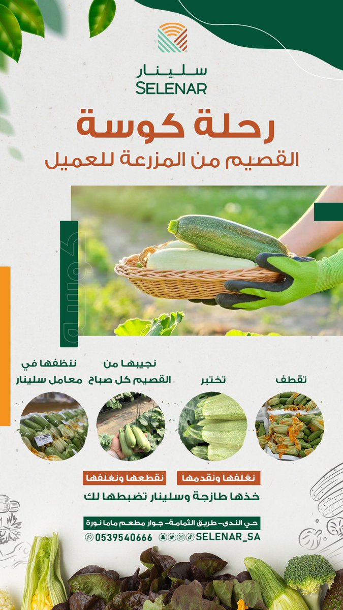 selenar_sa's tweet photo. أفضل خضار من #القصيم مرتب ومنظف وطازج لكم يومياً في #أسواق_سلينار . 

#الرياض #حي_الندى https://t.co/n016mTk4au
