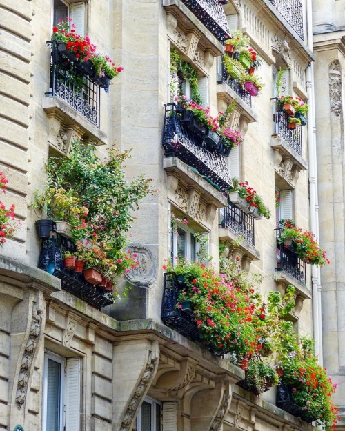 artindetails's tweet photo. balcony garden. https://t.co/4o5mZ4Sssy