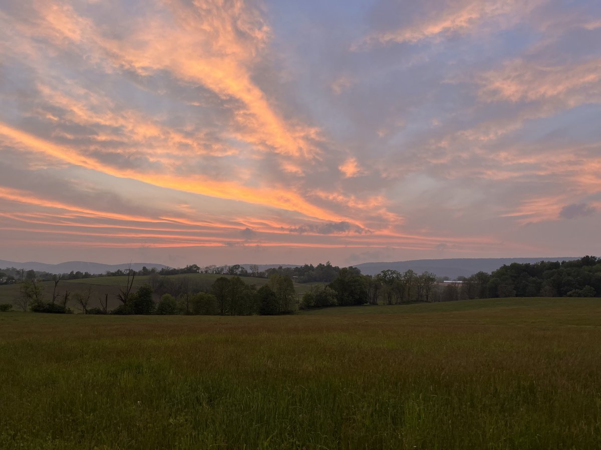 jilla_hamilton's tweet photo. Gorgeous evening out in Central PA at my very first (and definitely not last!) Burning Ma’am music festival - great music and absolutely gorgeous location #exploringthebackyard #weekendadventures https://t.co/aJra2ZkdSH
