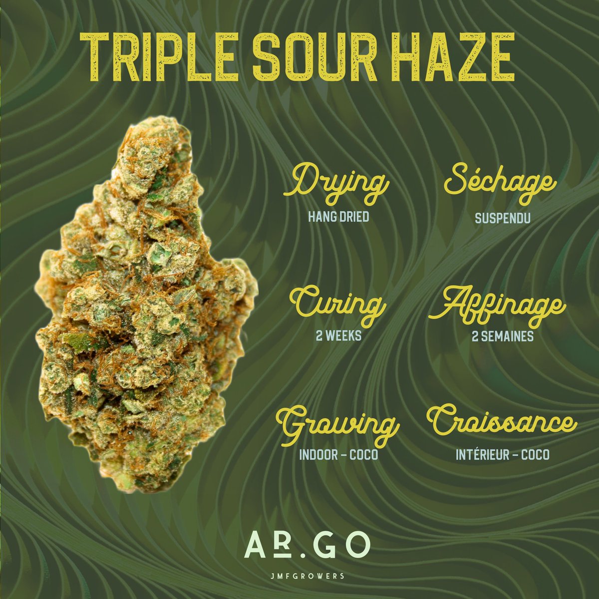 Meet our triple sour haze! 

Available at <a href="/kuzen_ca/">kuzen.ca</a> and in Manitoba 👀💜

#CannabisCommunity #SundayFunday  #Quebec #Manitoba