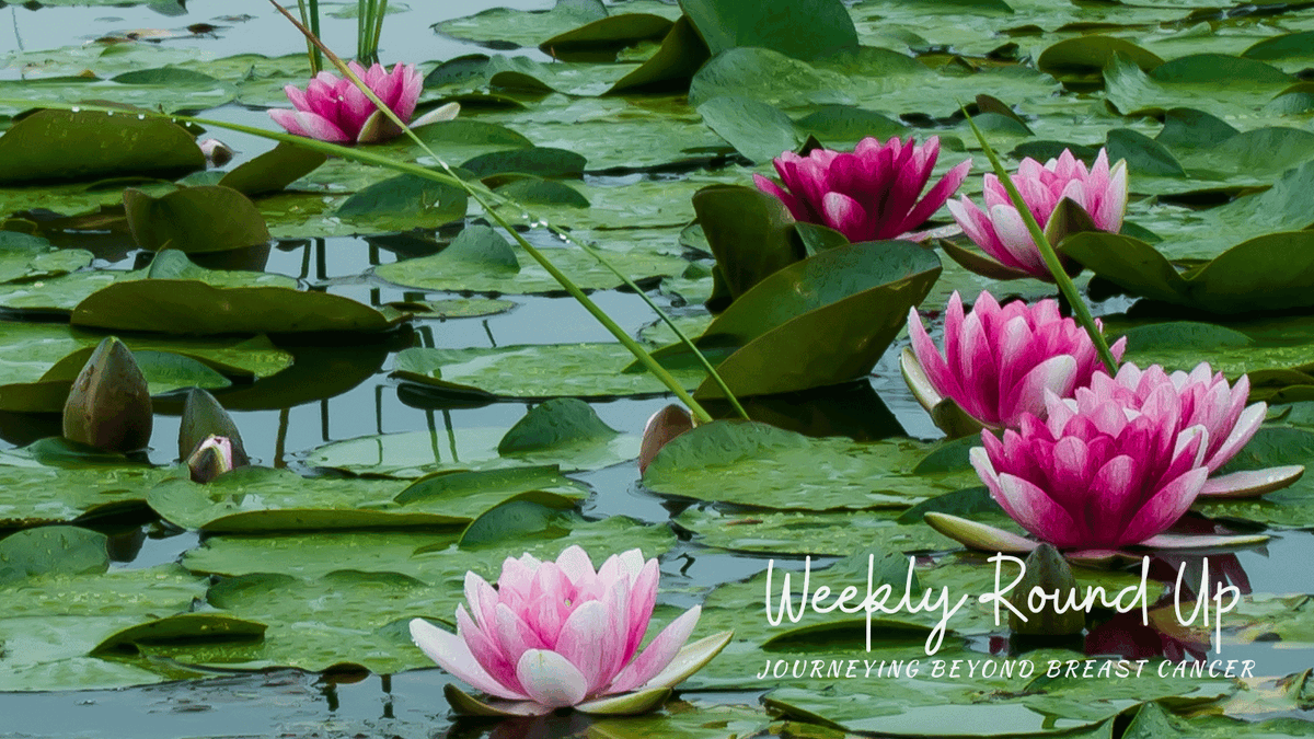 JBBC's tweet image. A bumper round-up featuring @NancysPoint @ourmbclife @HeartSisters @6state  @hisbreastcancer @christheeagle1 @AMJohnston1315 @GogsGagnon @PCaVoices @gabbymot @Stickit2Stage4 @yvonnewatterson @womenofteal @PattiMcGee_ @letlifehappen @crosserriddle 

journeyingbeyondbreastcancer.com/2023/05/21/wee…