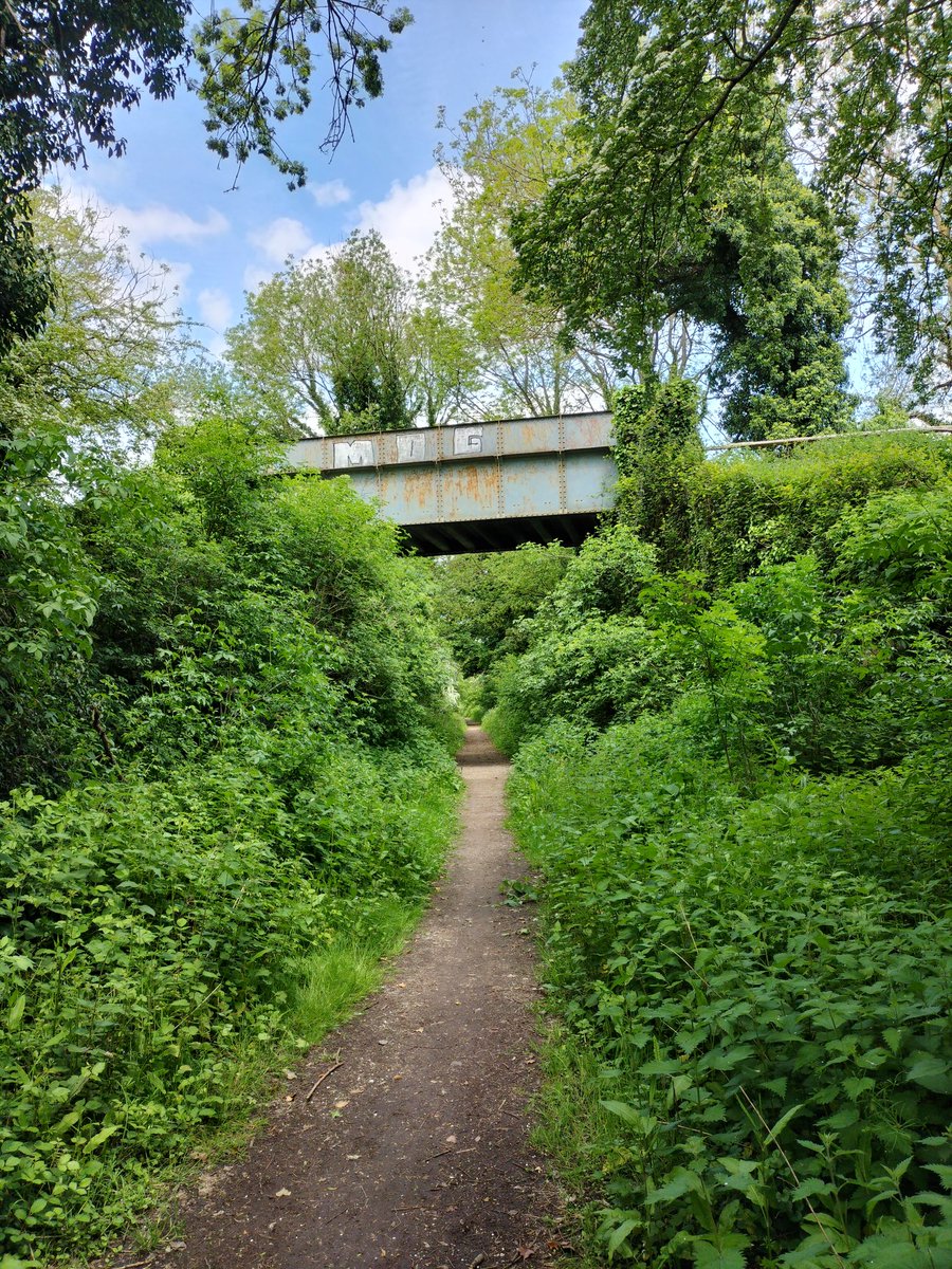 As the weather was so good today we decided to go for a walk along a disused train line in the #testvalley #SundayMotivation #sundayafternoon
