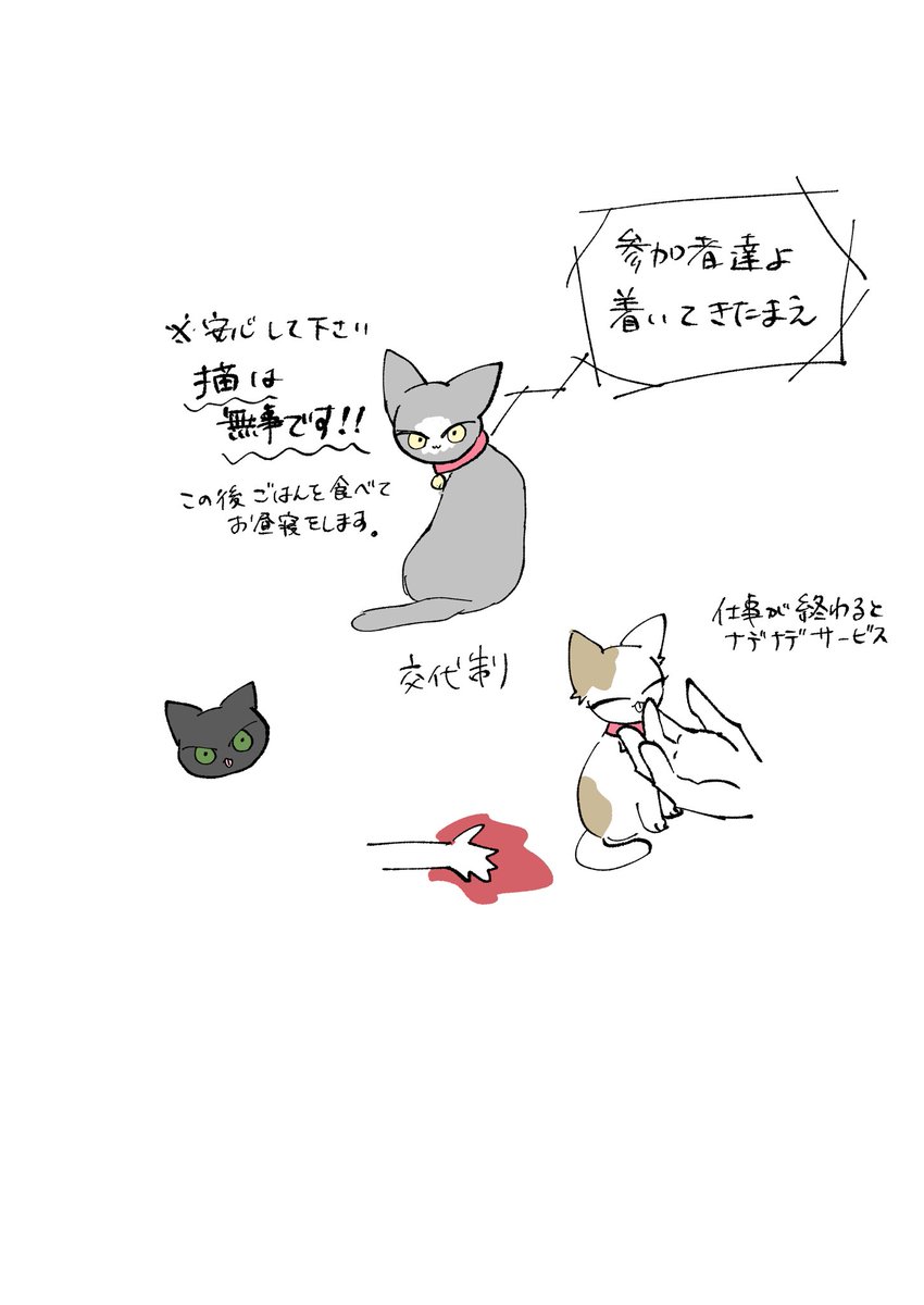 猫は無事です