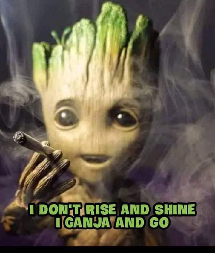 BeyondTheBuds's tweet photo. Sunday Funday! 🌱💨💨💨
#CannabisCommunity #420community #weed #HempForChange #BeyondTheBuds @McGenius420
https://t.co/b5t6FYgch1 https://t.co/VPzYaVwzAY