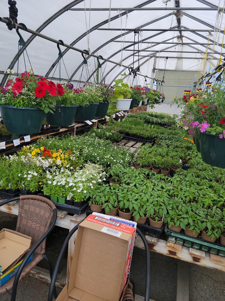 cggkam's tweet photo. Grow with Us !
Greenhouse for Sale
20 x 32 ft
$8500.00
countrygardengreenhouse@gmail.com

@smorgasborddeli @CoCkamloops @villageonekam @agnethestrong @cggkam #kamloops @inkamloops https://t.co/Puy0coCm4a