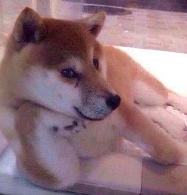 DrawMonkTH's tweet photo. มี แต่ไม่ให้ค่ะ https://t.co/Nzb1wngPHW