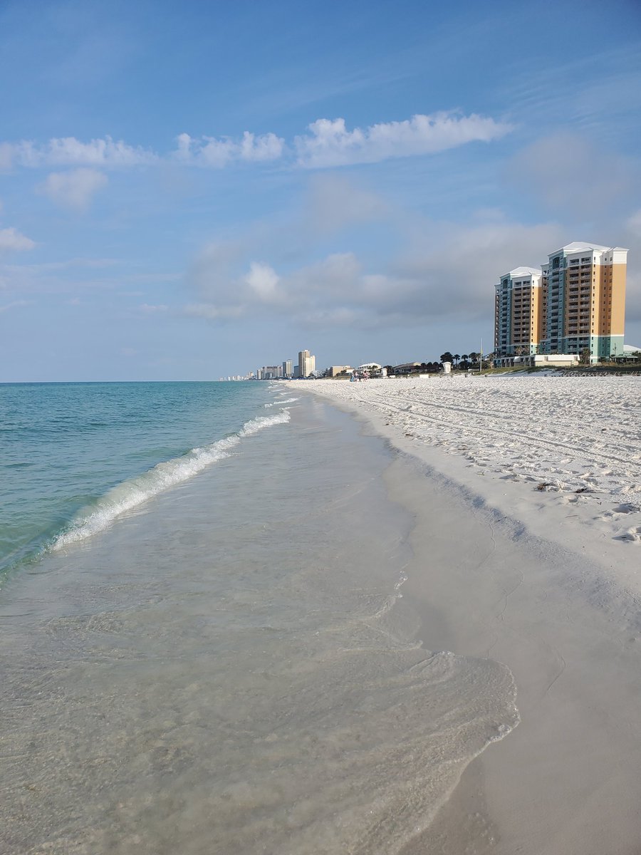 Axelthebigdog's tweet image. Saw 8 baby sharks during my first morning walk along the beach, love the little dudes 🦈