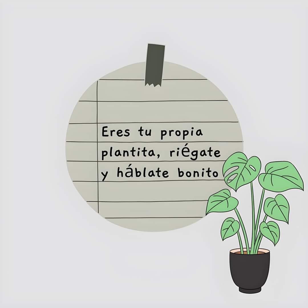 Buenos días.🌱✨
