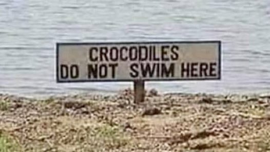those crocodiles are crafty fuckers