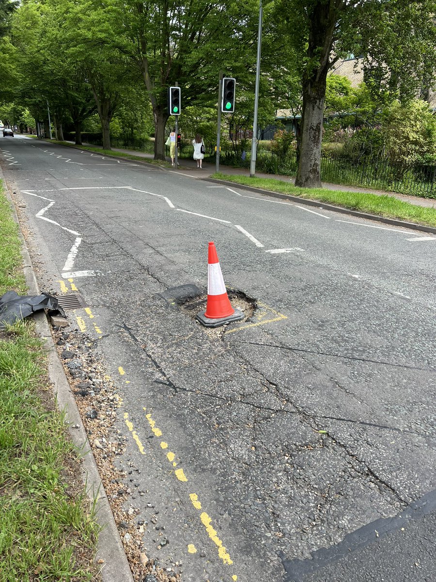 Kamiar Mohaddes tweet media