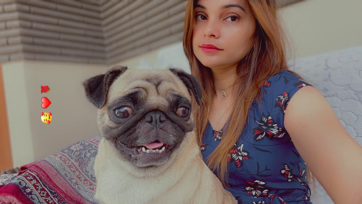 Manuk229's tweet photo. PUG OFF 😂😘💕 https://t.co/ztmBCHotyO