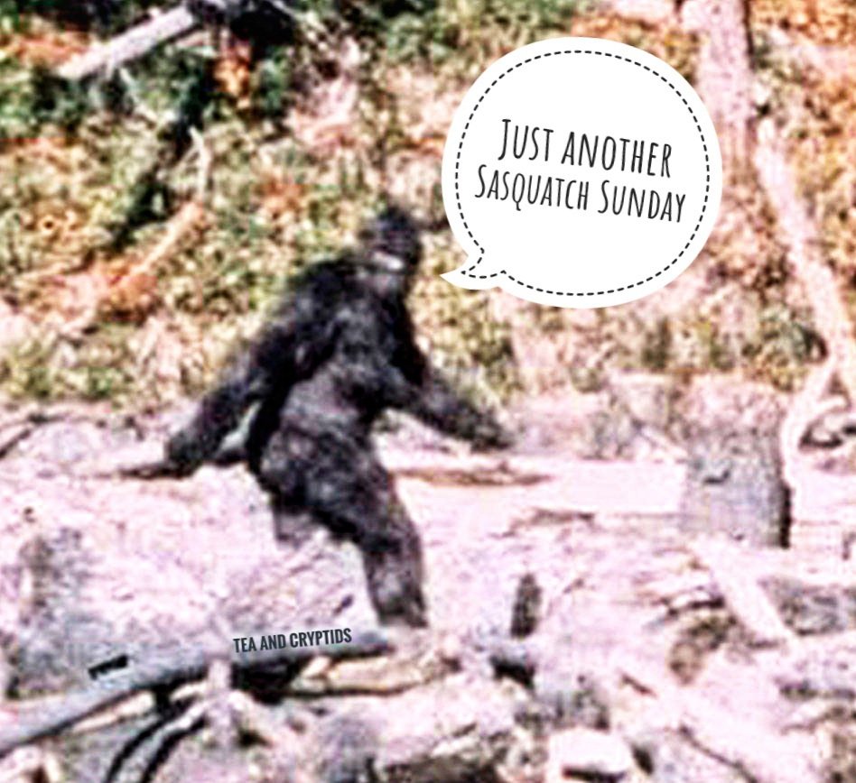 Patty knows... It's just another Sasquatch Sunday! #bigfoot #sasquatch #squatch #sasquatchsunday #cryptid #cryptids #cryptozoology
