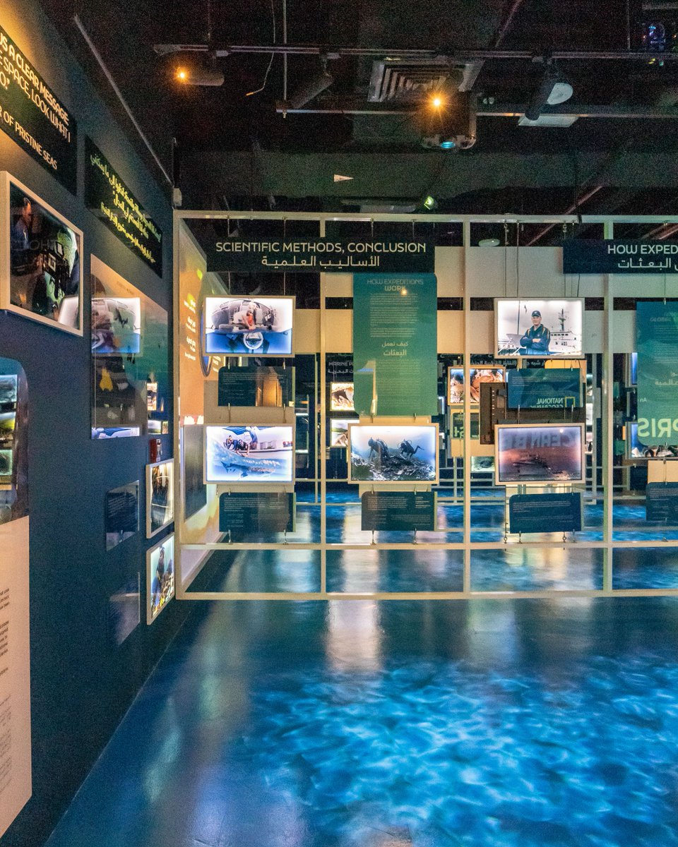 Explore the ocean's wonders at #PristineSeasExhibition by #NationalGeographic, at The National Aquarium, #AlQana! Dive in for immersive images, videos & interactive mediums showcasing the importance of marine-protected areas. Entry is included with your admission ticket.