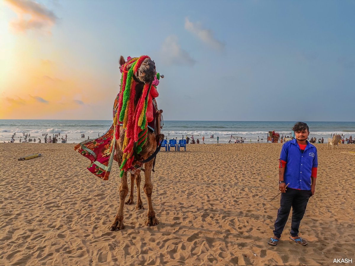 A man with his camel🐪

#shotononeplus #CaptureBeyondBoundaries #NFT #NFTCommmunity #NFTdrop