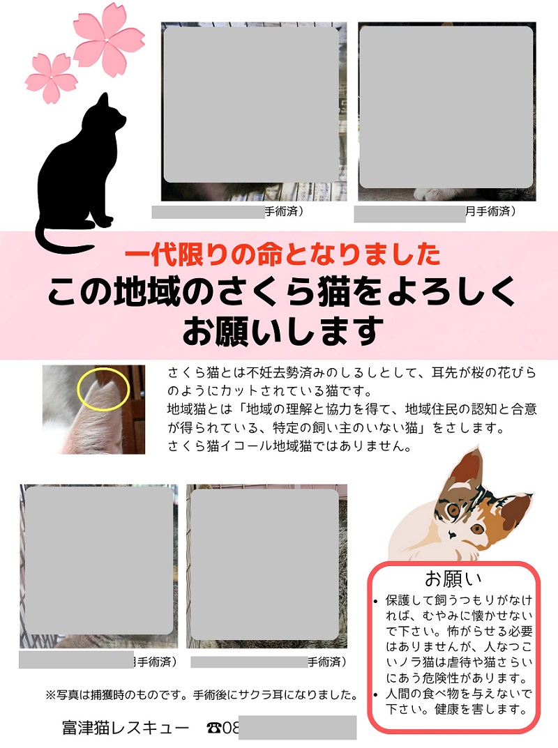 去勢・避妊が済んでリターンした猫たちは、こんなふうに写真つきで、１軒１軒ご案内に回っています。
地域猫としてのご理解を求めるお願いと、もしも猫たちがご迷惑をかけることがあればご連絡くださいと。
お一人お一人の猫に対するお考えなども知りたいし、対話は絶対必要だと思っています。