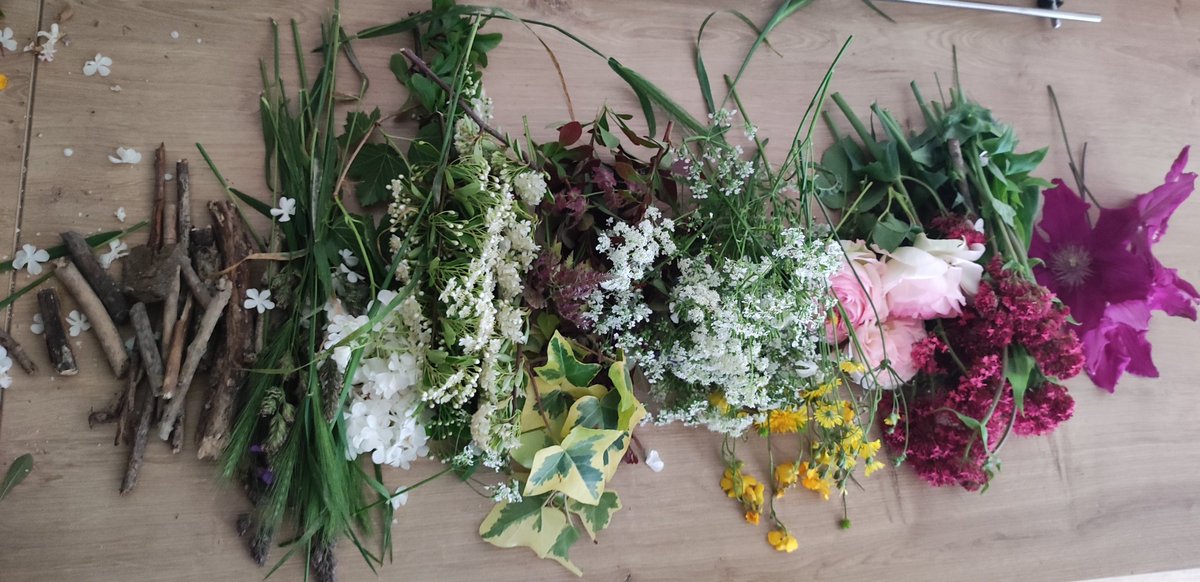 OcceCher's tweet photo. Semaine de la maternelle en approche avec @dsden18 
Thème : Natur'Enjeux
Preparation des ateliers avec une petite collecte de végétaux dans les marais de Bourges !
@profcoco @ema96371910 @stoooono @ChristelleBuira @MarieHbrard https://t.co/kxG0pDYuBy