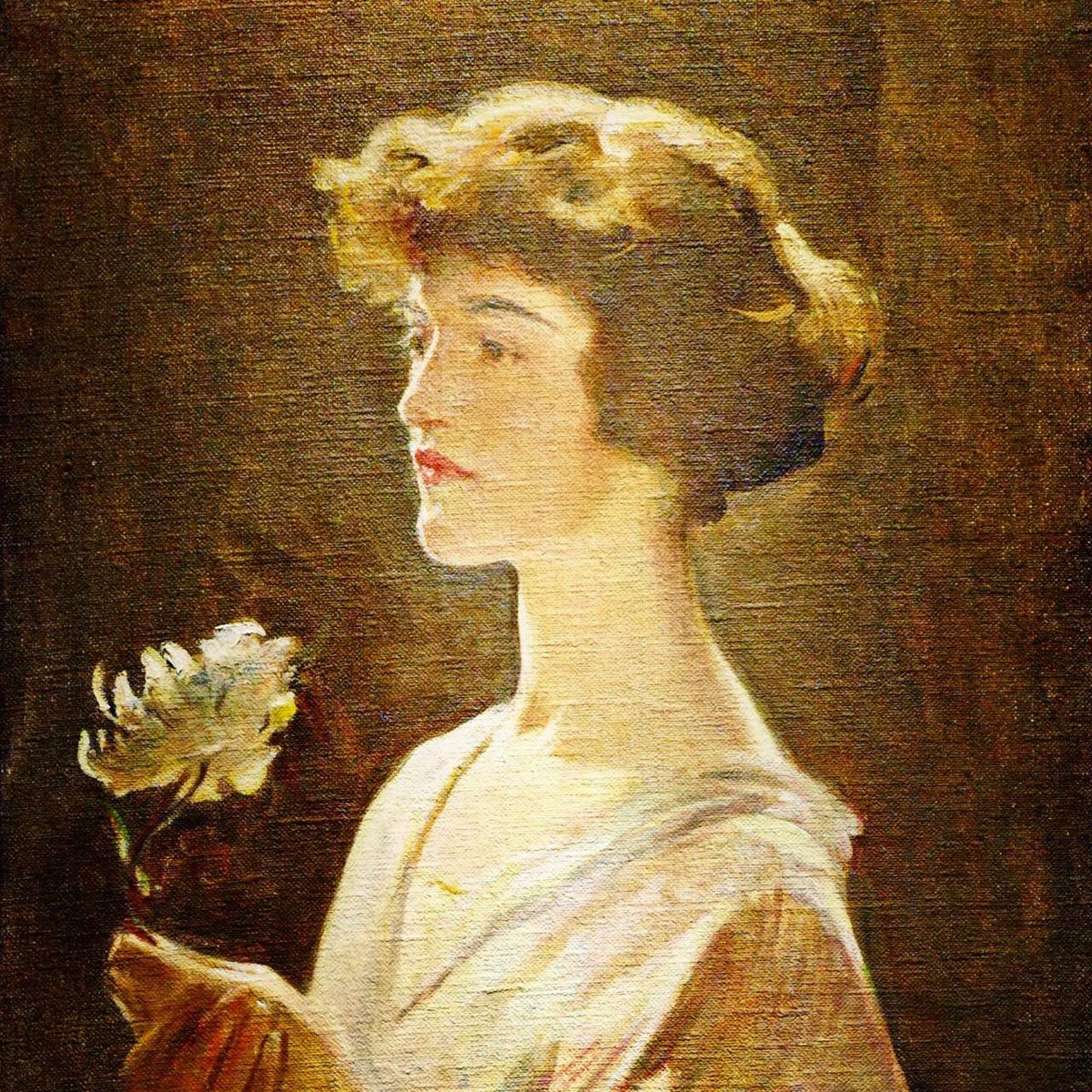 MeshooNon's tweet image. 