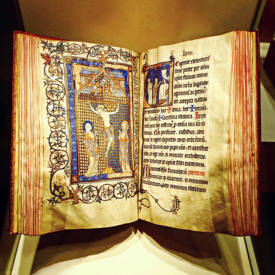 MeshooNon's tweet image. 