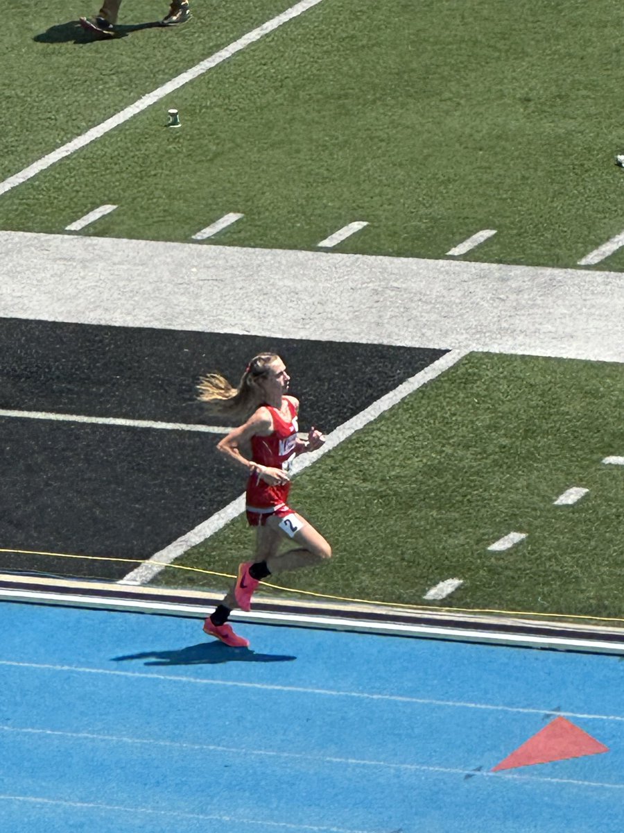 Molly Farrell tweet media