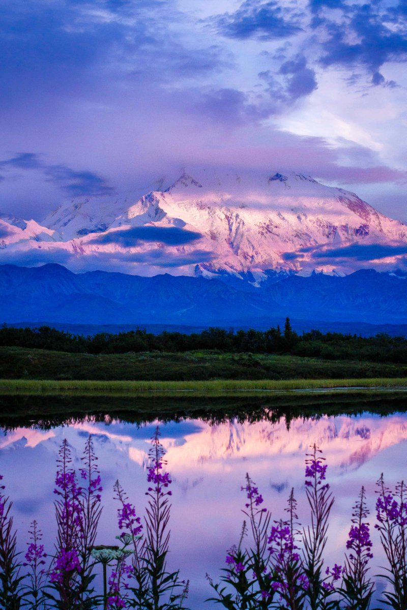 US Department of the Interior (@interior) on Twitter photo Although <a href="/DenaliNPS/">Denali National Park</a> is renowned for its grand mountains and large wildlife, the park's beauty extends beyond these features to include smaller details. Among them are over 450 types of flowering plants that can be found throughout the landscape.
Photo by Gavin Danapong Although <a href="/DenaliNPS/">Denali National Park</a> is renowned for its grand mountains and large wildlife, the park's beauty extends beyond these features to include smaller details. Among them are over 450 types of flowering plants that can be found throughout the landscape.
Photo by Gavin Danapong