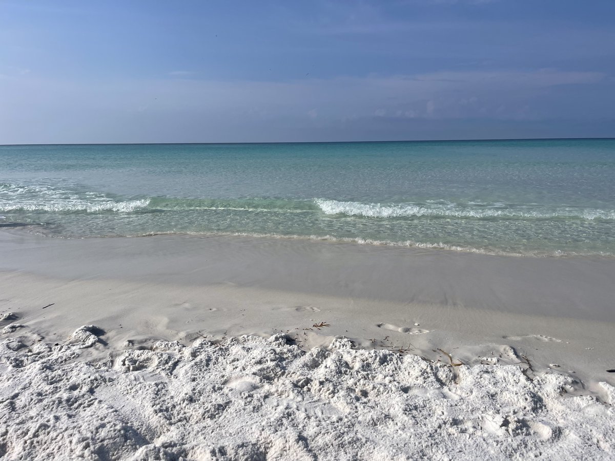 The_Matt_Dee's tweet photo. @DennisMOLeary @maxfeen1 May not be able to this Monday if itโs 7 eastern. Soaking up sun and floating the sandbars or I can do it with the sounds of the Gulf Coast in the background. ๐
โ๏ธ๐โโ๏ธ๐๏ธ #FL4Life Itโs Rough out here. https://t.co/vxaLi4eMo2