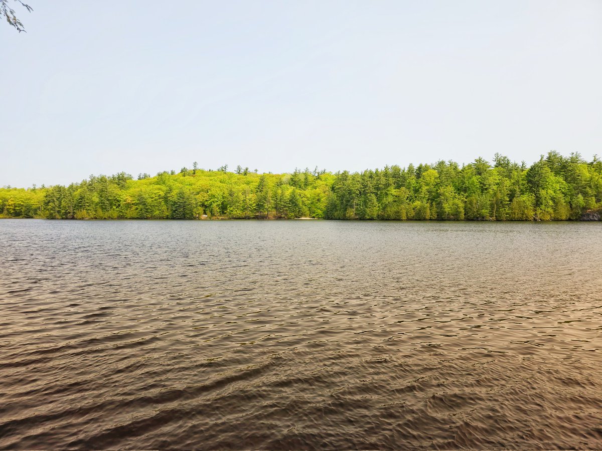 plal's tweet photo. What a view! White Lake at its finest! #OttawaValley #FriendsWeekend #VictoriaDayWeekend https://t.co/CrRKMDHKoD