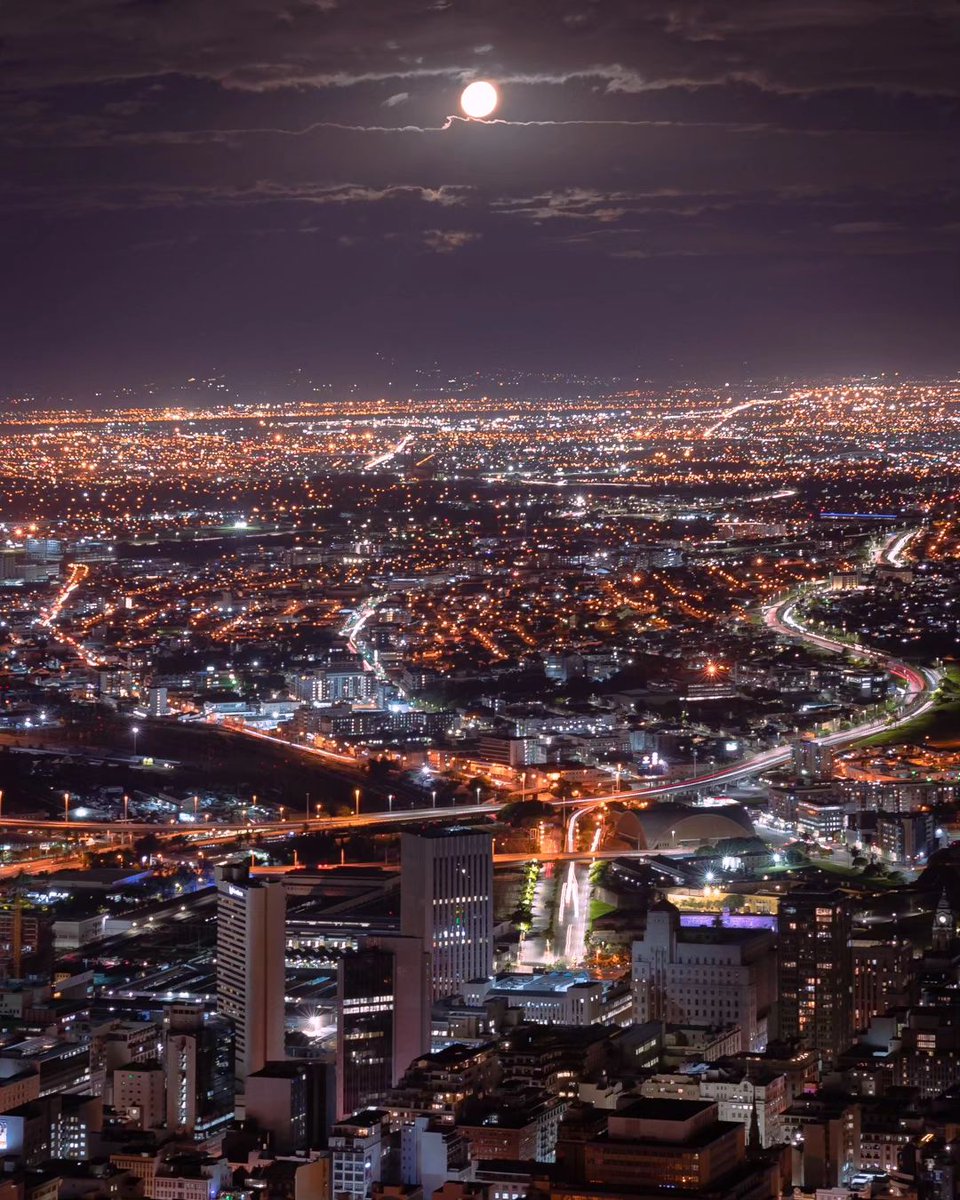 South African Tourism tweet media