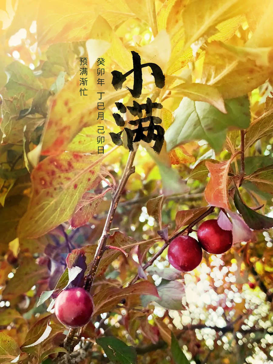 upUID's tweet image. 小满,预满渐忙。  
25.728, 112.736 
#二十四节气 #小满 #0521 #二十四節氣 #書法 #毛筆字 #书法