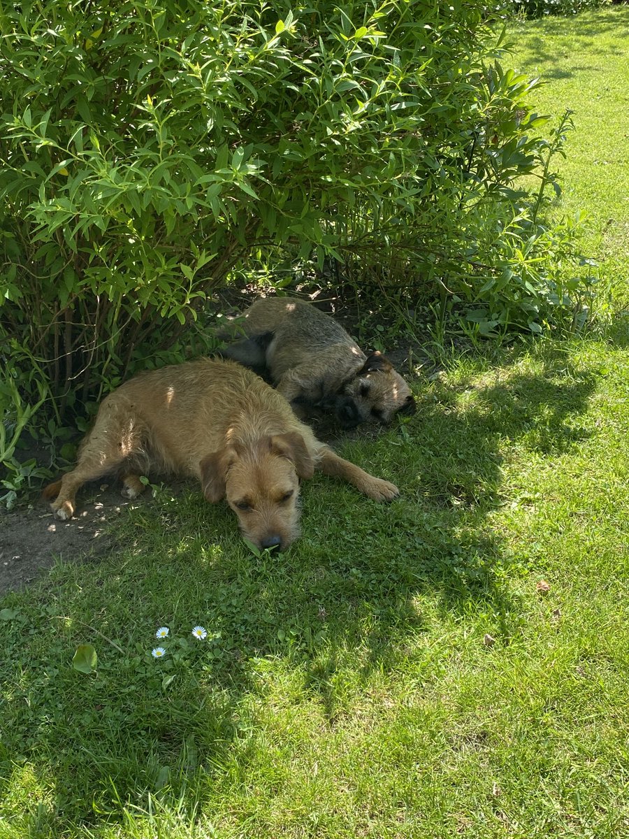 Mollyboots🌈 & Lily tweet media