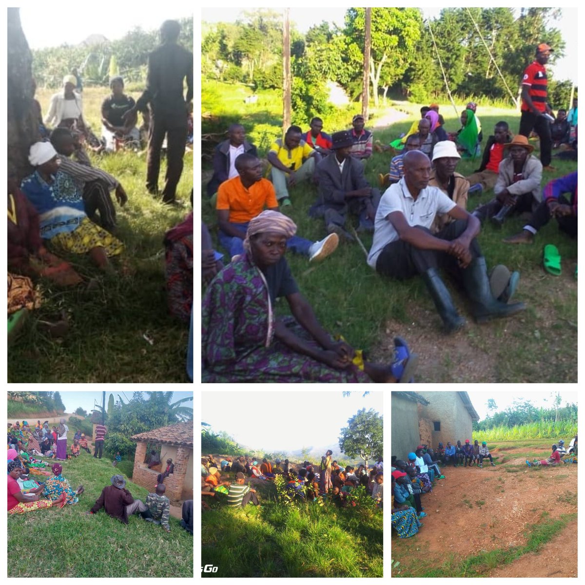 MUSHISHIRO Sector (@mushishiro_sect) on Twitter photo Mu midugudu igize umurenge wa Mushishiro hateraniye umugoroba w'imiryango abaturage baganira ku mikorere yawo, gukemura ibibazo ndetse no ku mihigo <a href="/Muhangadis/">MUHANGA District</a> <a href="/KAYITAREJacky/">KAYITARE Jacqueline</a> <a href="/RwandaSouth/">Southern Province | Rwanda</a> Mu midugudu igize umurenge wa Mushishiro hateraniye umugoroba w'imiryango abaturage baganira ku mikorere yawo, gukemura ibibazo ndetse no ku mihigo <a href="/Muhangadis/">MUHANGA District</a> <a href="/KAYITAREJacky/">KAYITARE Jacqueline</a> <a href="/RwandaSouth/">Southern Province | Rwanda</a>