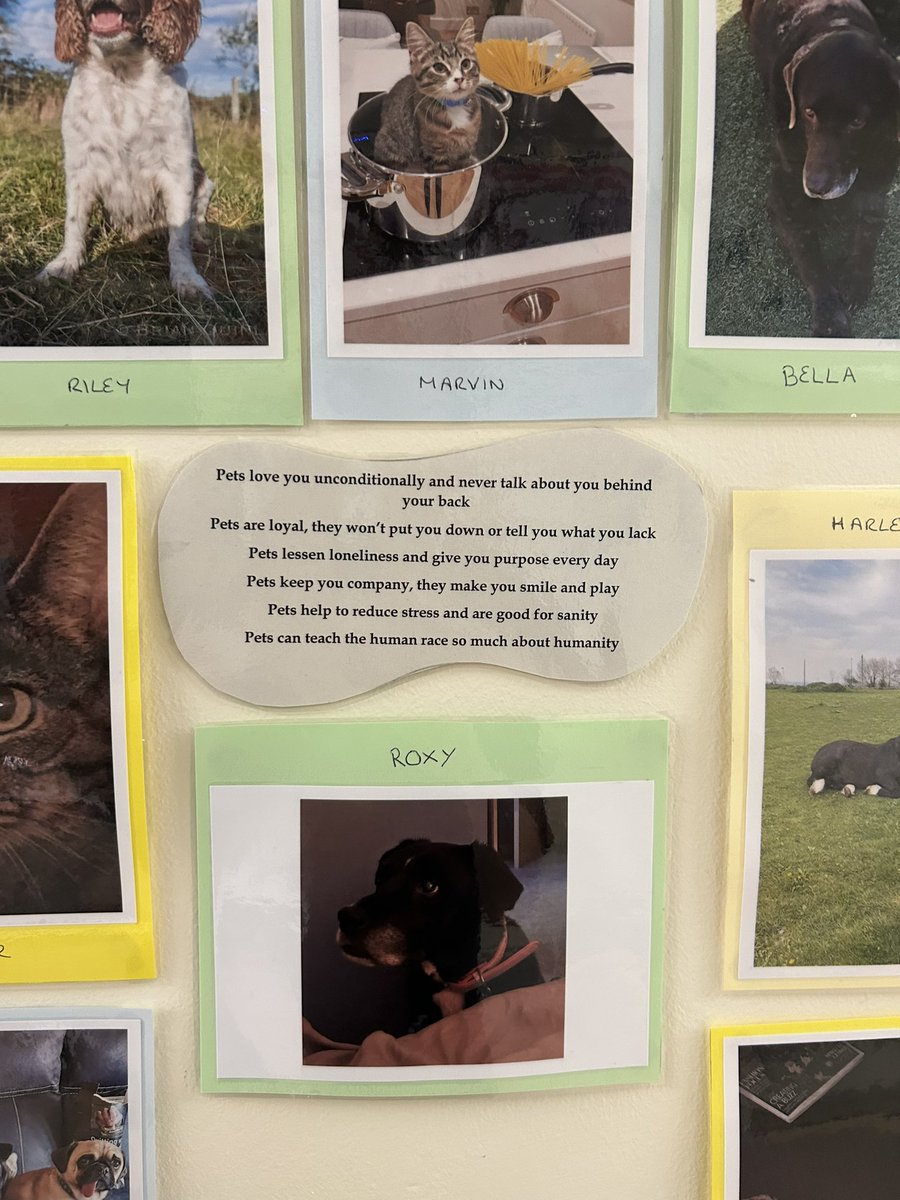 To help boost patient & staff wellbeing we have created a pet display sharing the love of our pets. This is especially important because pets can help to decrease levels of stress, depression & anxiety @StaffWtwa @cardiologymatr1 @parkerkarenj @krisbailey3