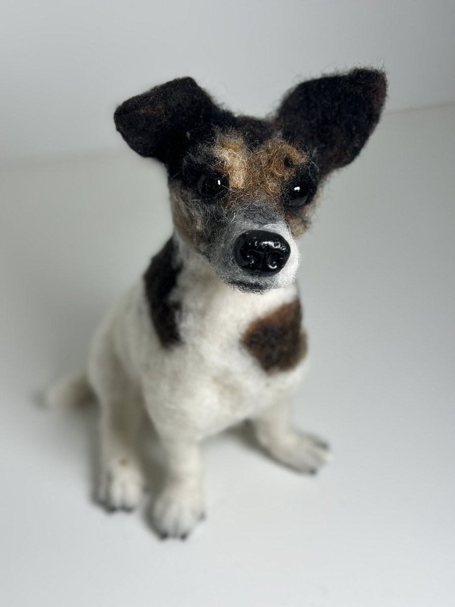 A needle felted Jack Russell portrait #JackRussell