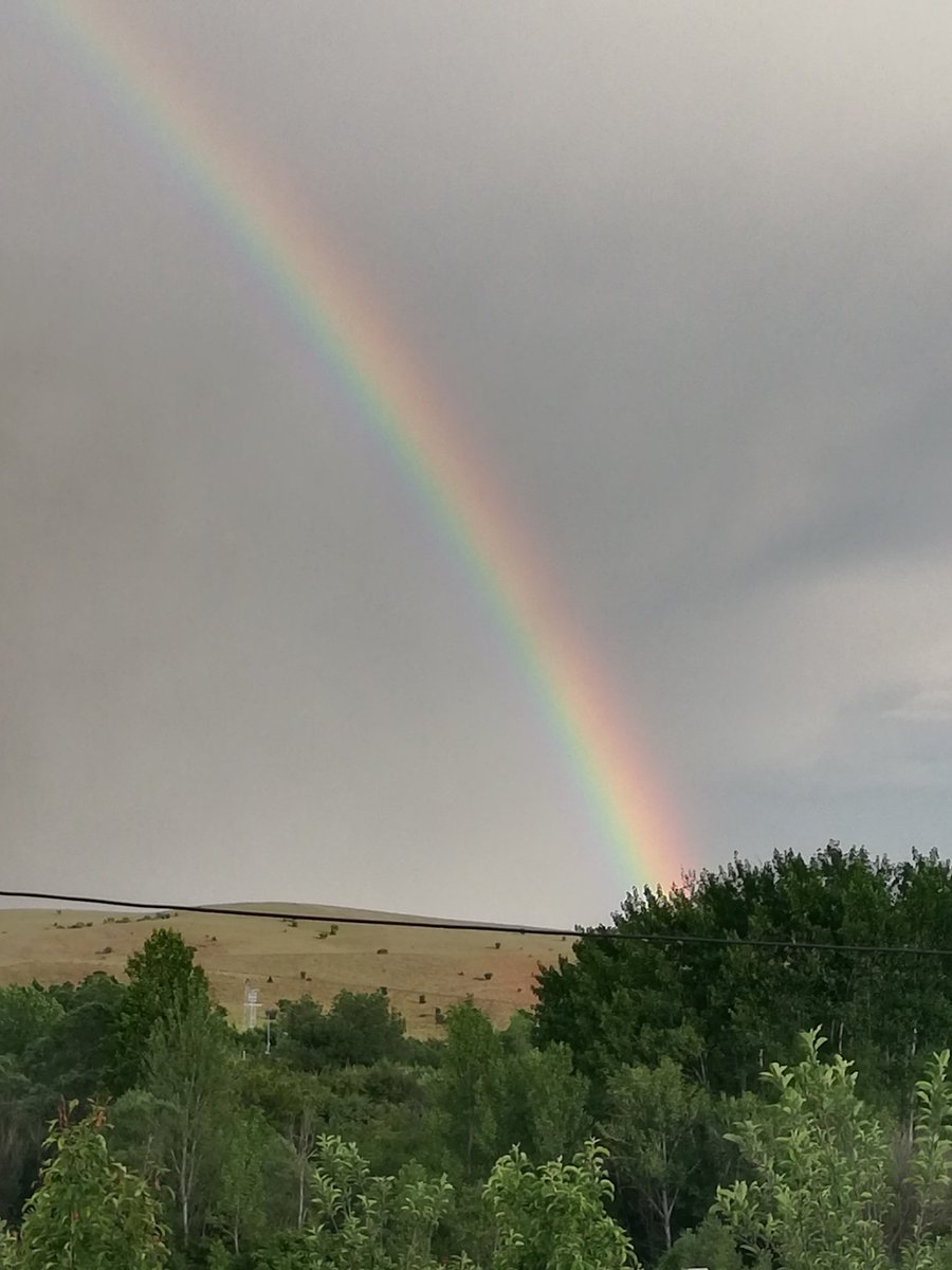 murat (@murat40434355) on Twitter photo 