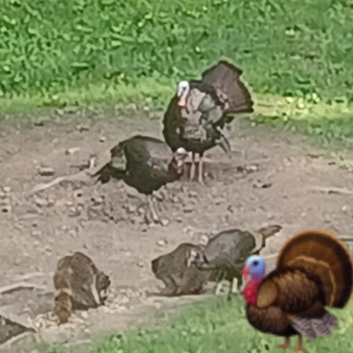 SocialSettlemen's tweet image. #WelcomeNewCEOTwitter 
Did you watch the FBI whistleblowers testimony on @FoxNews ?
#Drain_The_Swamp