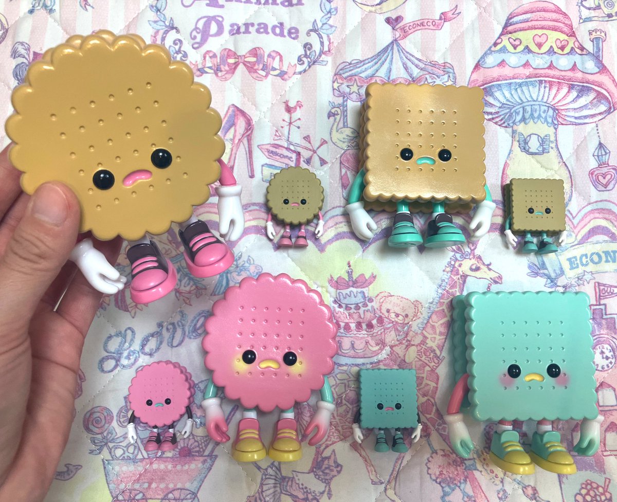 クリームビスケットボーイセットでお迎え有難うございました