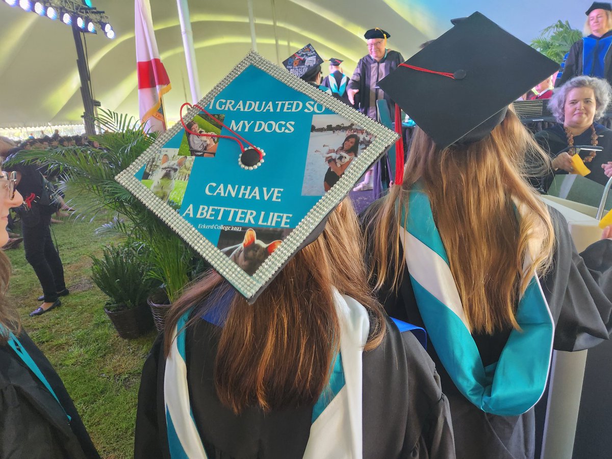 eckerdcollege's tweet photo. Grad cap art was in high style this year! #Eckerd23 https://t.co/uor9TfPiL4