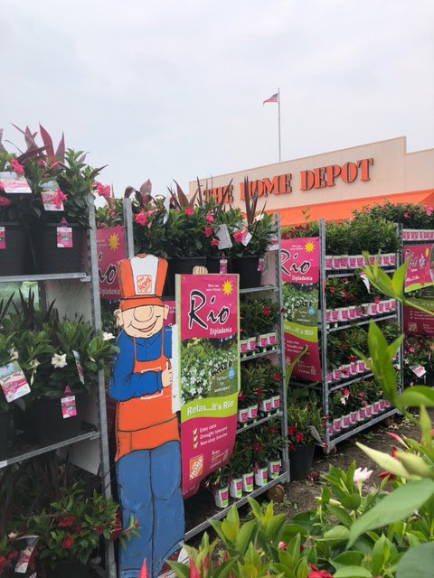 Stinchcomb Nursery Service tweet media