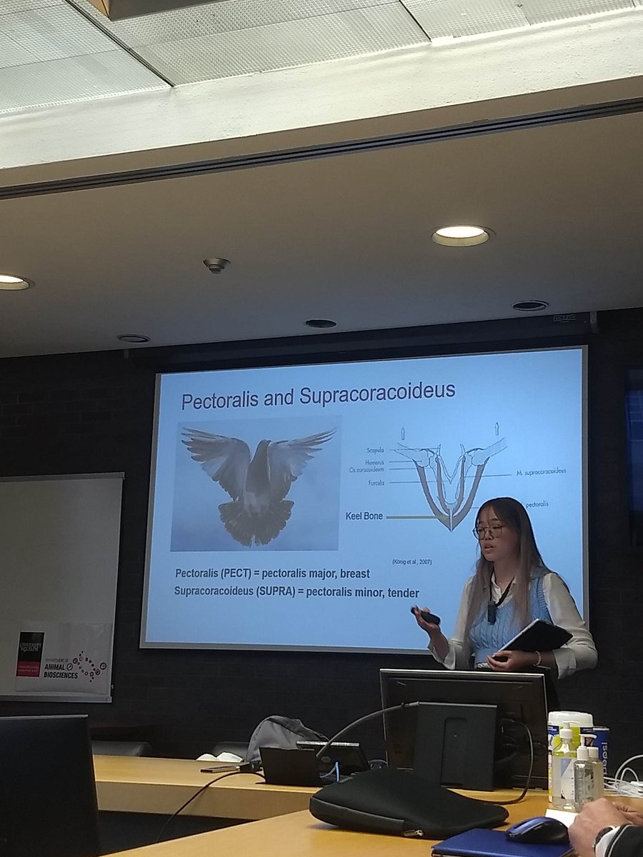 Dr. Nienke van Staaveren tweet media