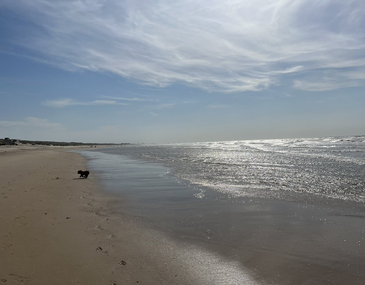 RhianCheckland's tweet photo. Taking some deep breaths at the beautiful Belgian coast before making the switch from @UKinBelgium to @UKMisBrussels https://t.co/kj57biXYNY