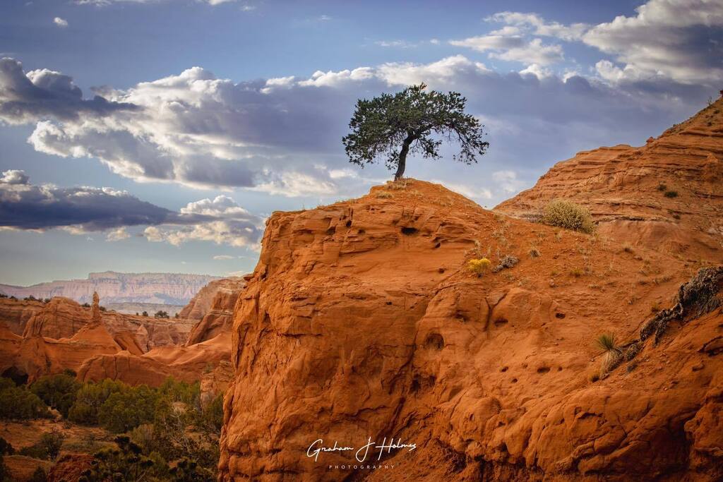 Lone Oak - Kodachrome Basin #utah #kodachromebasin #oaktree 

.
.
.
.

#canon #canonexploreroflight #canonusa #ShotOnCanon #adventurephotography #travelphotography #adobelightroom  #california #adobe #adobeexpress 
#grahamholmesphotography #hey_ihadtosna… instagr.am/p/Csgoy89BeyU/