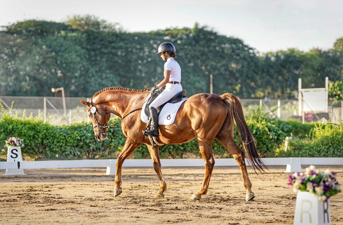 'No hour of life is wasted that is spent in the saddle.' — Winston Churchill
#sundayvibes #sundayfunday
#weekendishere
#weekendvibes
.
.
#thingstodoinmumbai  #events  #horseriders #sports #dressagerider #dressage  #dressagehorse  #showjumper #dressagecompetition #power #passion