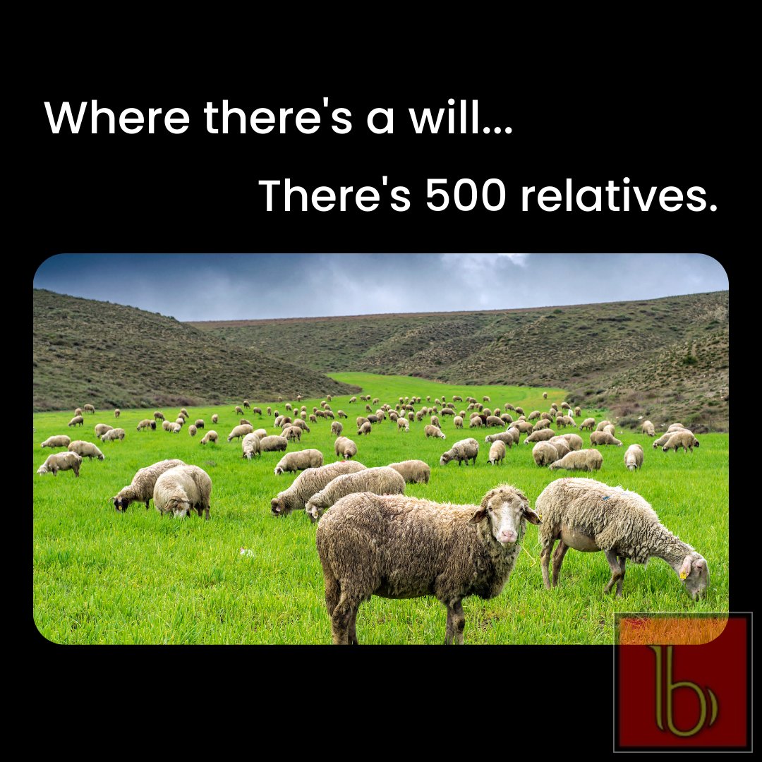 You know what they say…

Where there’s a will, there are 500 relatives! 🤣

#funnybuttrue #wills #estateplanninglawyer