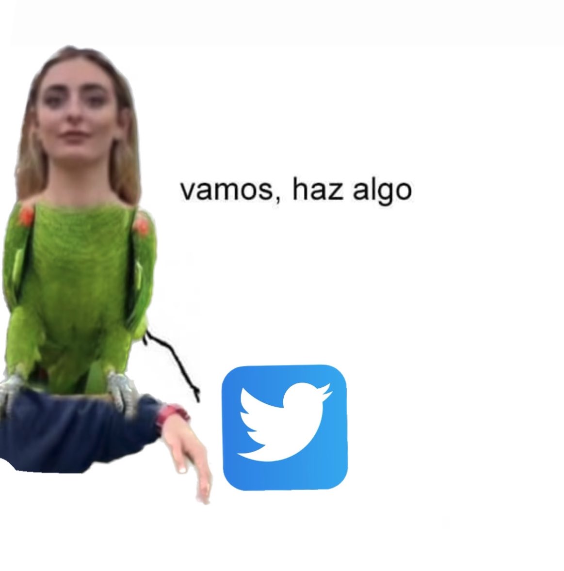 Natalia tweet media