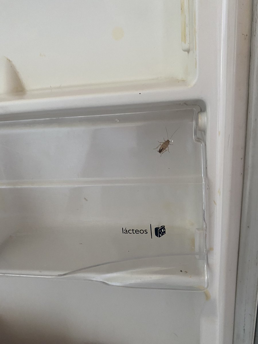 silviapg19's tweet photo. Hicimos el reclamo y el señor en principio se mostró muy atento incluso dijo que no sabia de esa situación en la finca, y que nos iba a regresar todo, pero solo regresó la mitad. Estas son algunas de las muchas fotos que enviamos como evidencia del mal estado de la finca https://t.co/KdqkXRYaOV