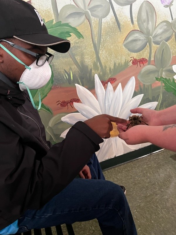 Stan and Ms. Stephanie ventured to The Bug Museum in Toms River NJ.#autism autismmoms # autismfamilies