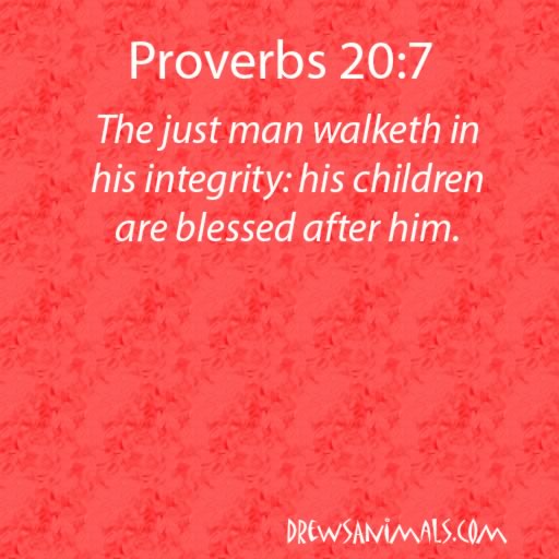 drewsanimals's tweet photo. Afternoon Verses https://t.co/liBSJR1uF4