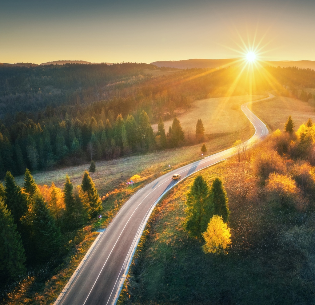 Tom Savano Cocktails tweet media