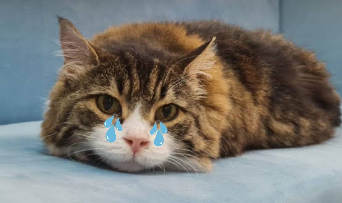 Benim ağlamadığımı kim söyleyebilir ki…