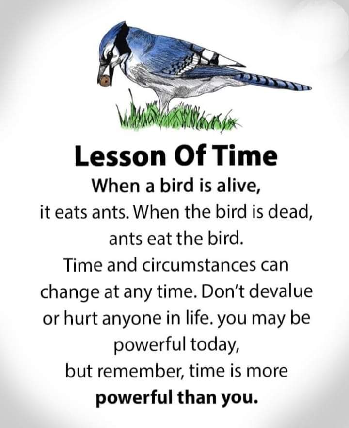 StanCAD_Int's tweet image. Just like we say in our local adage be mindful how you treat your towel because the same part that cleanse your buttocks today will clean your face tomorrow.  Reminds us to be cautious of our actions and treat everything with kindness n respect #HappySunday #RespectAndGratitude